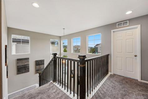 2511 Loon Lane Castle Rock CO 80104