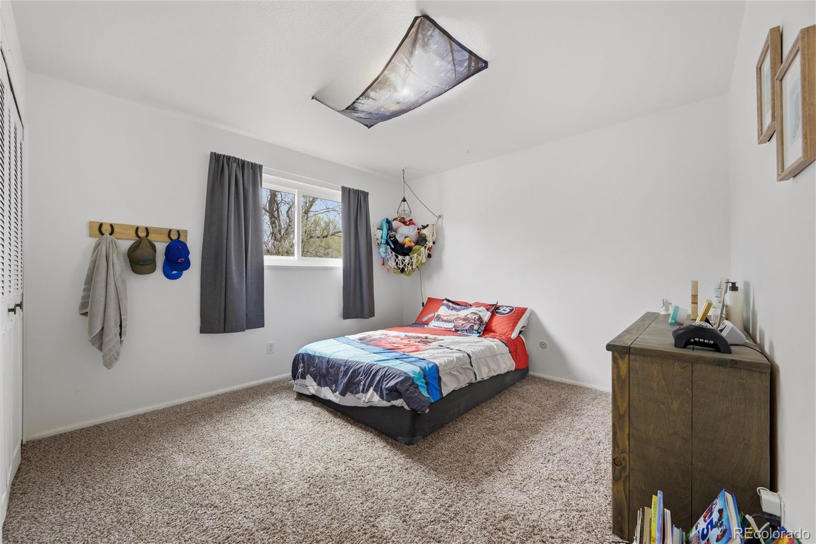 6317 S Johnson Street Littleton CO 80123