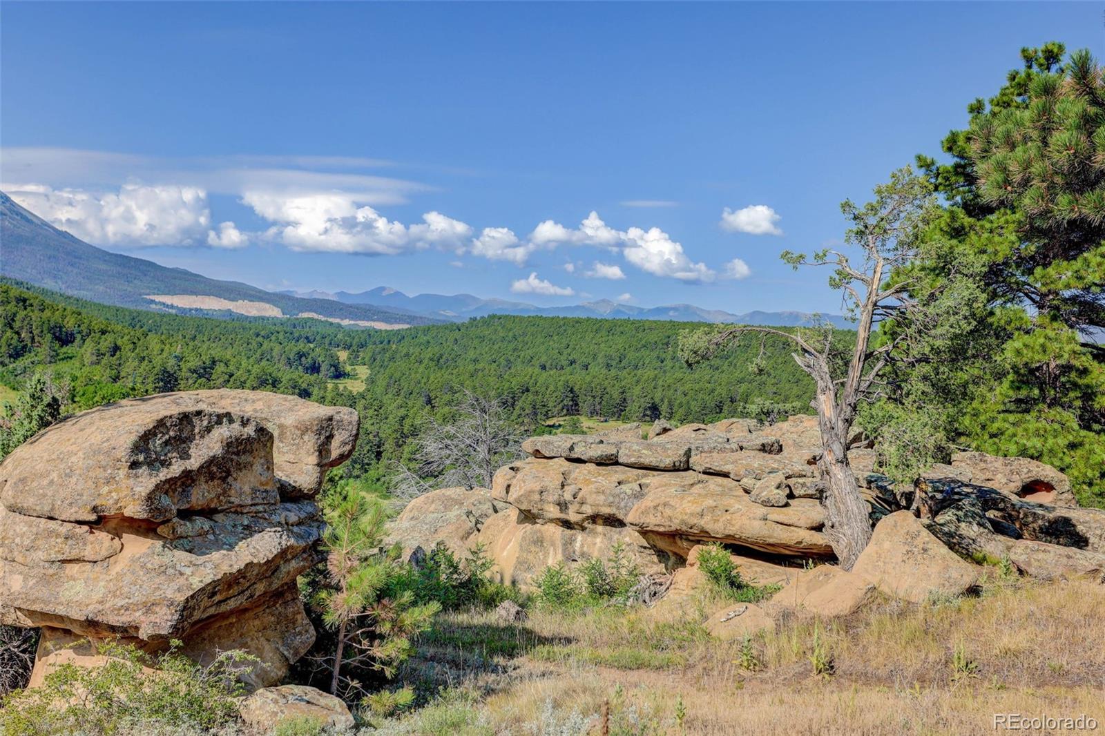 6600 County Road 363 La Veta CO 81055