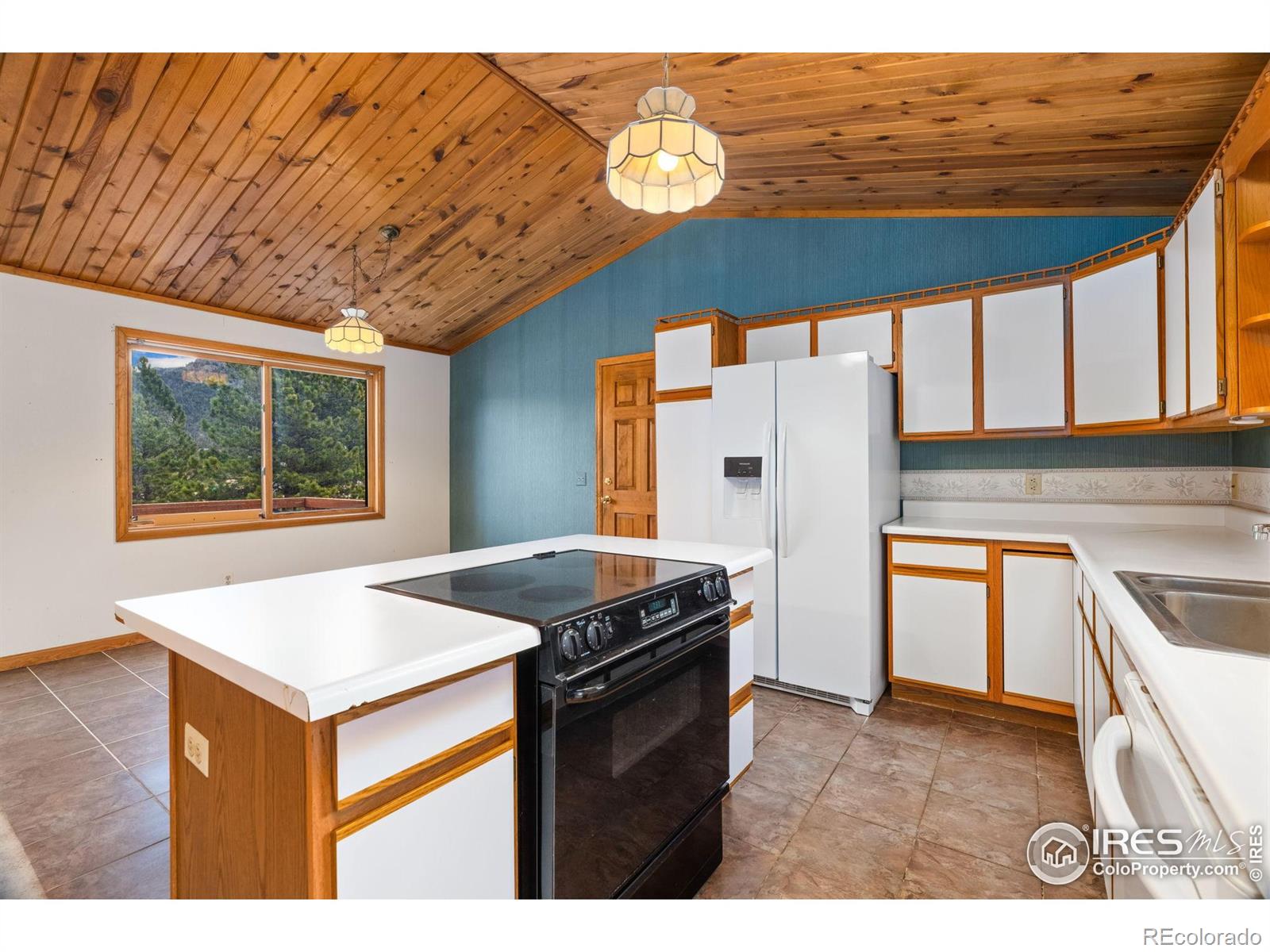 2151 Larkspur Avenue Estes Park CO 80517