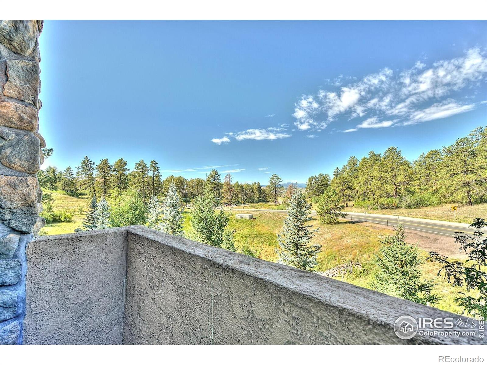 1782 Tulip Tree Place Castle Rock CO 80108