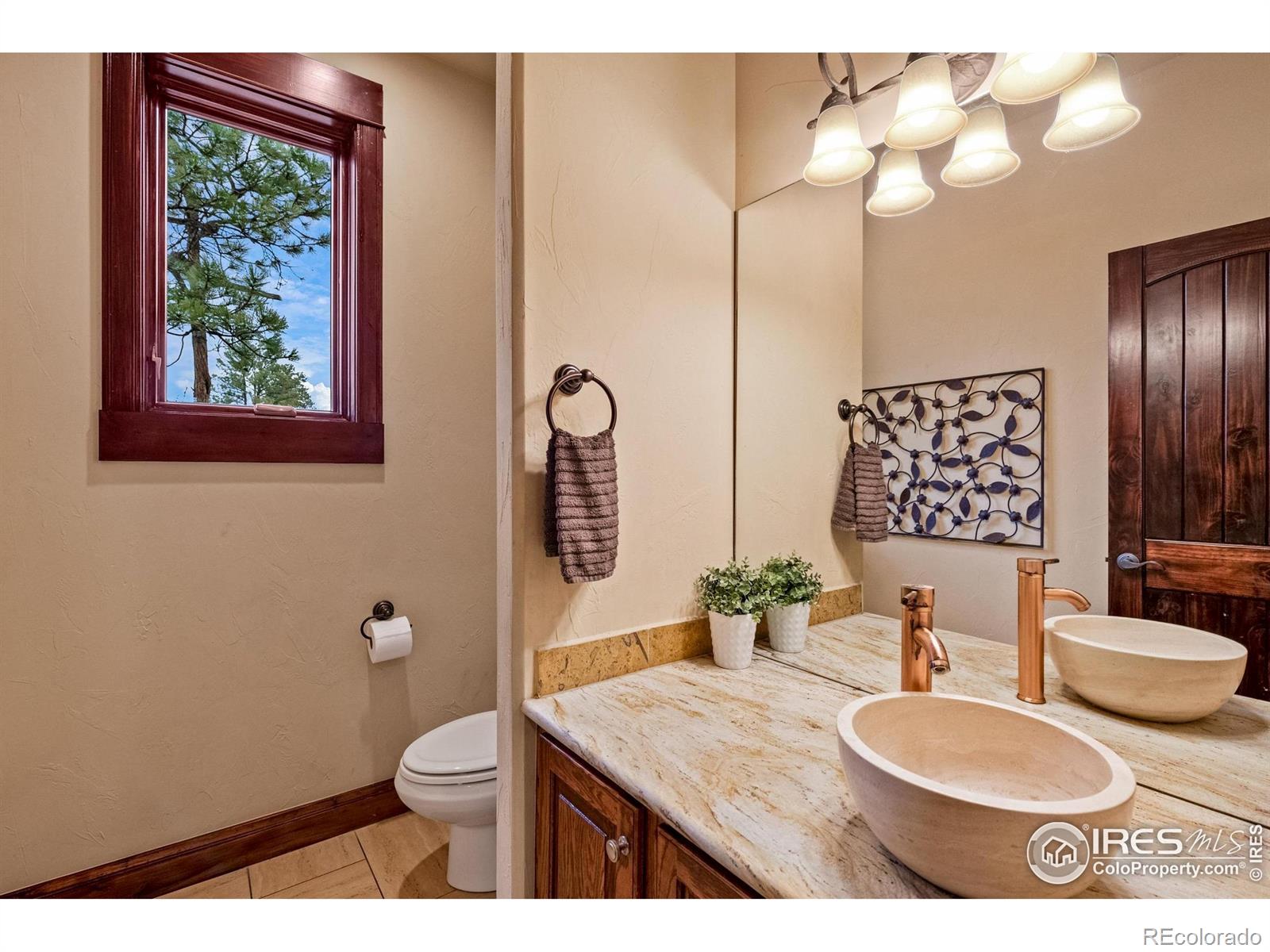 1782 Tulip Tree Place Castle Rock CO 80108