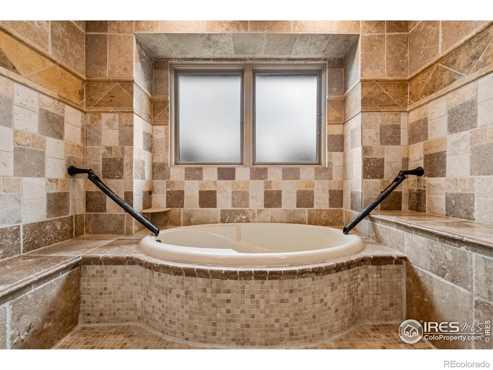 1782 Tulip Tree Place Castle Rock CO 80108