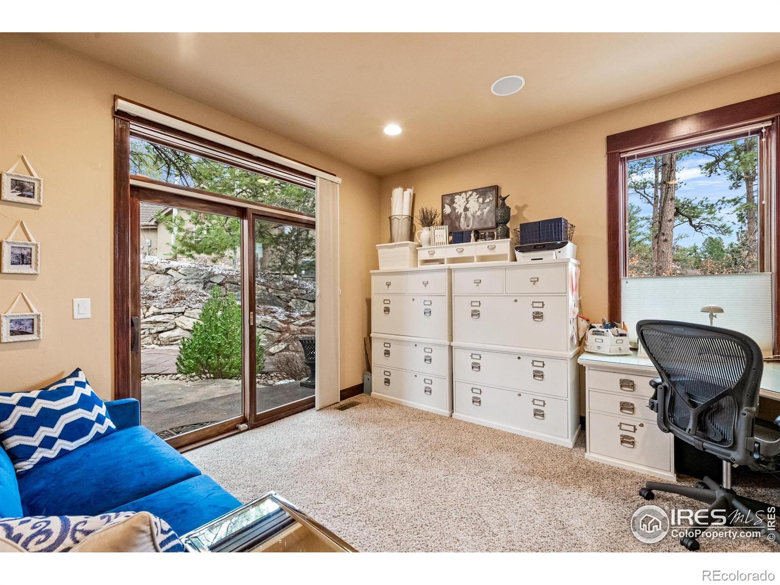 1782 Tulip Tree Place Castle Rock CO 80108
