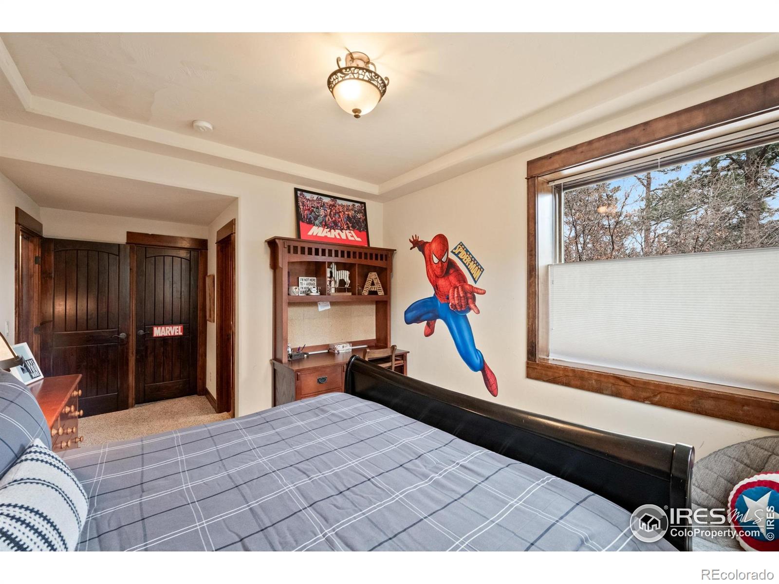 1782 Tulip Tree Place Castle Rock CO 80108