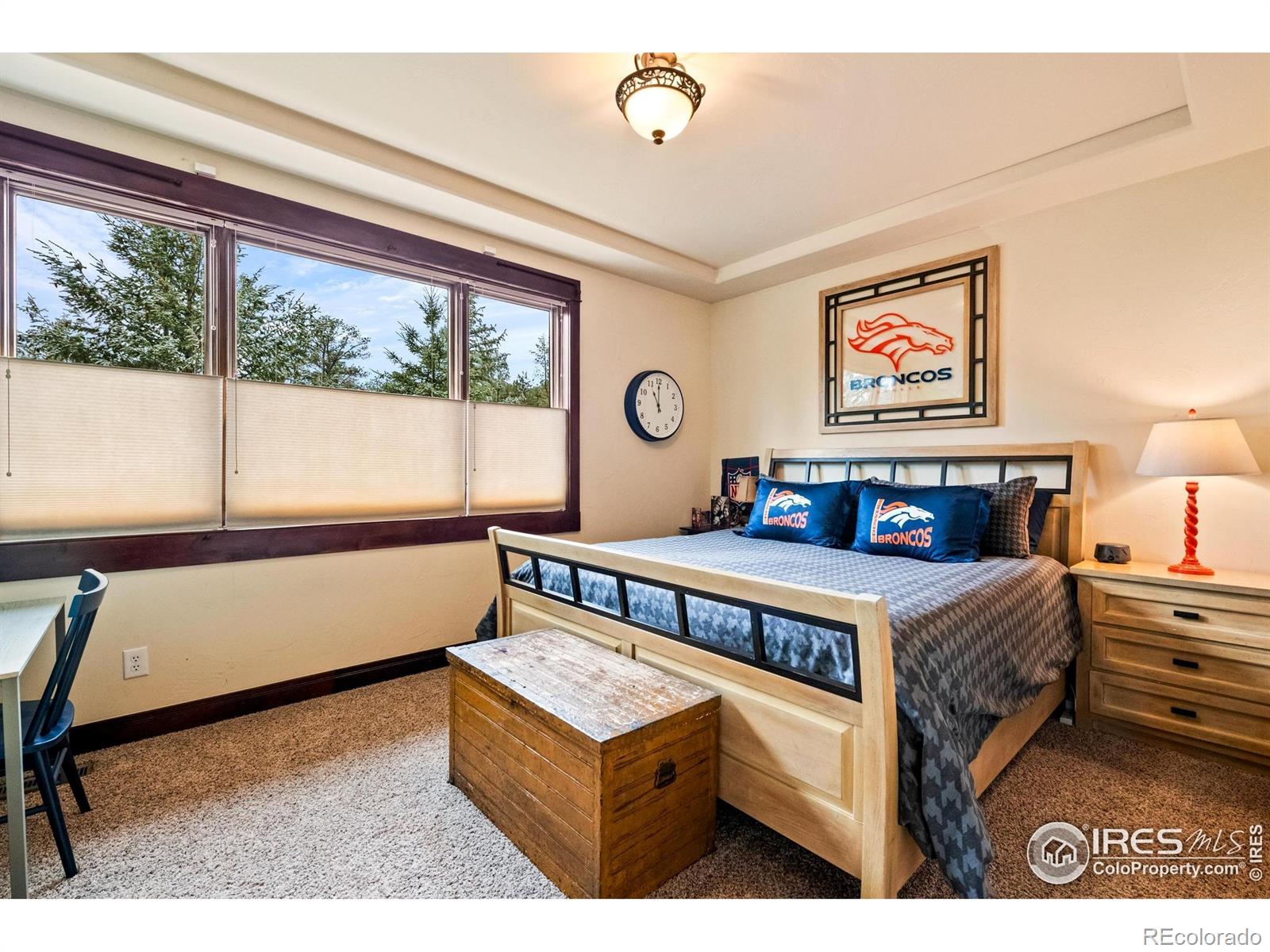 1782 Tulip Tree Place Castle Rock CO 80108