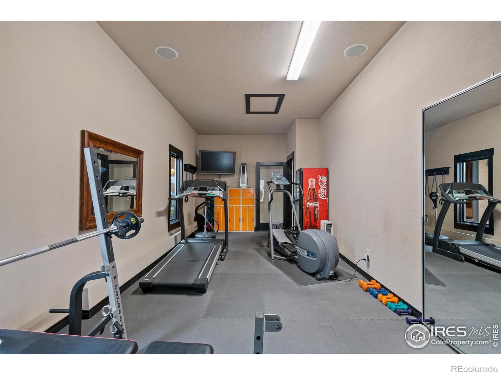 1782 Tulip Tree Place Castle Rock CO 80108