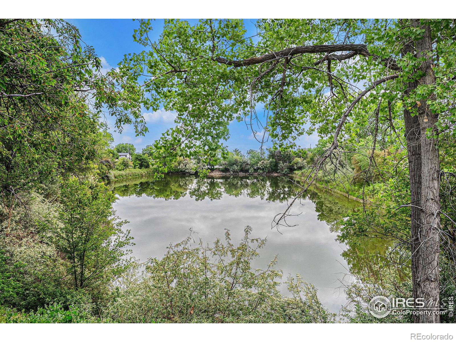 3580 W 62nd Place Denver CO 80221