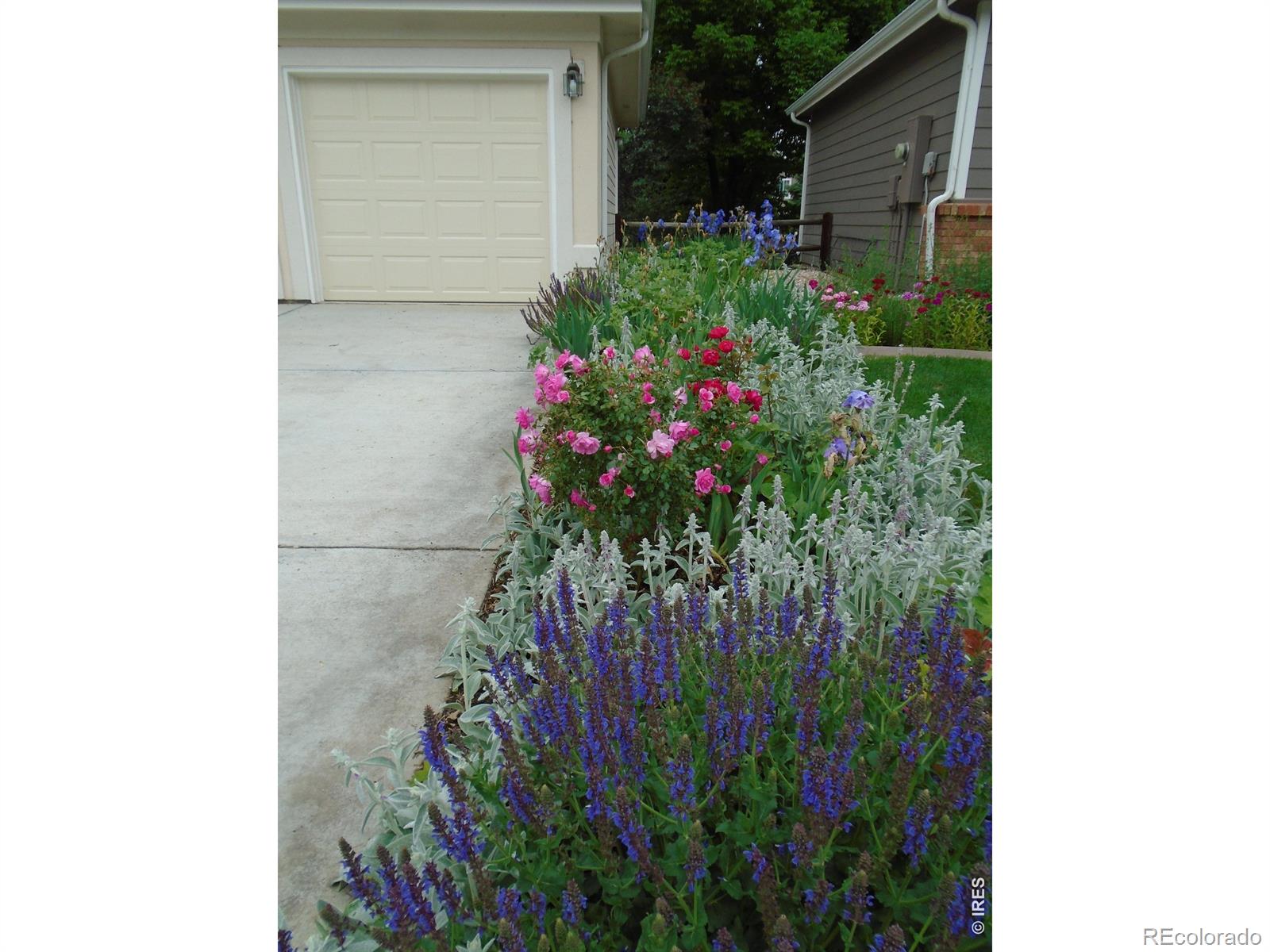 1614 Fantail Court Fort Collins CO 80528