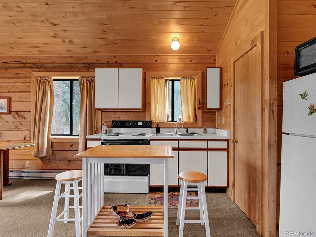 1462 Pulver Road Lake George CO 80827