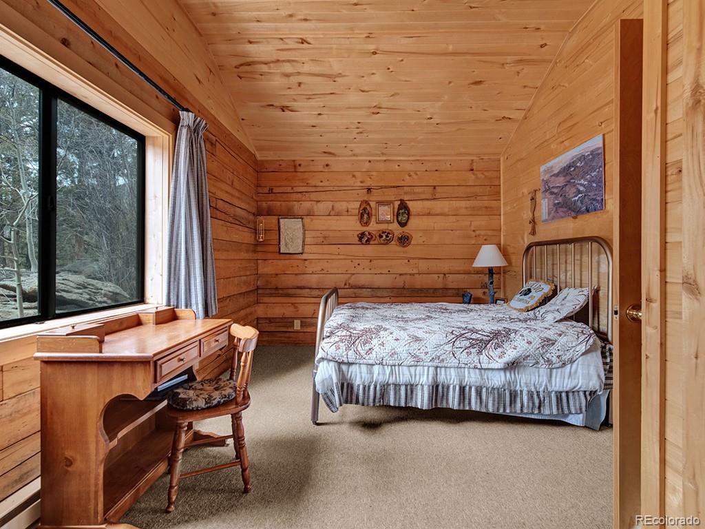 1462 Pulver Road Lake George CO 80827