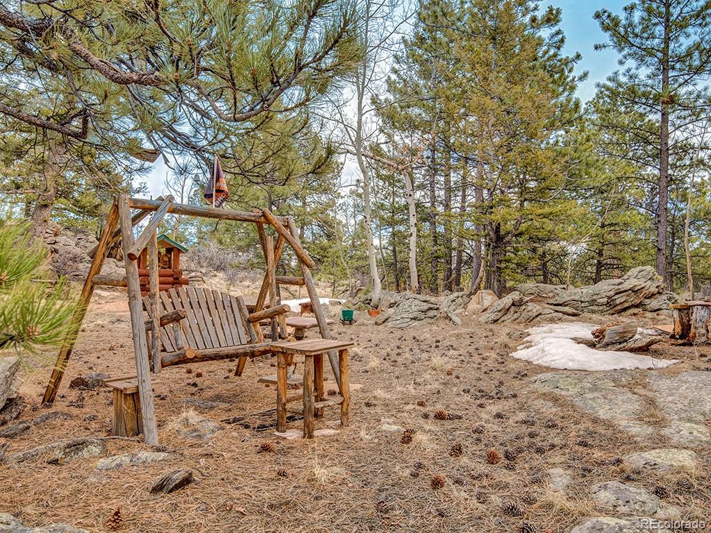 1462 Pulver Road Lake George CO 80827
