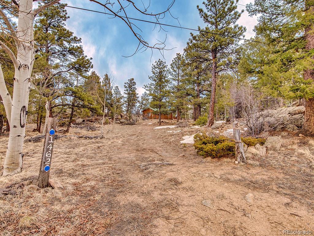 1462 Pulver Road Lake George CO 80827