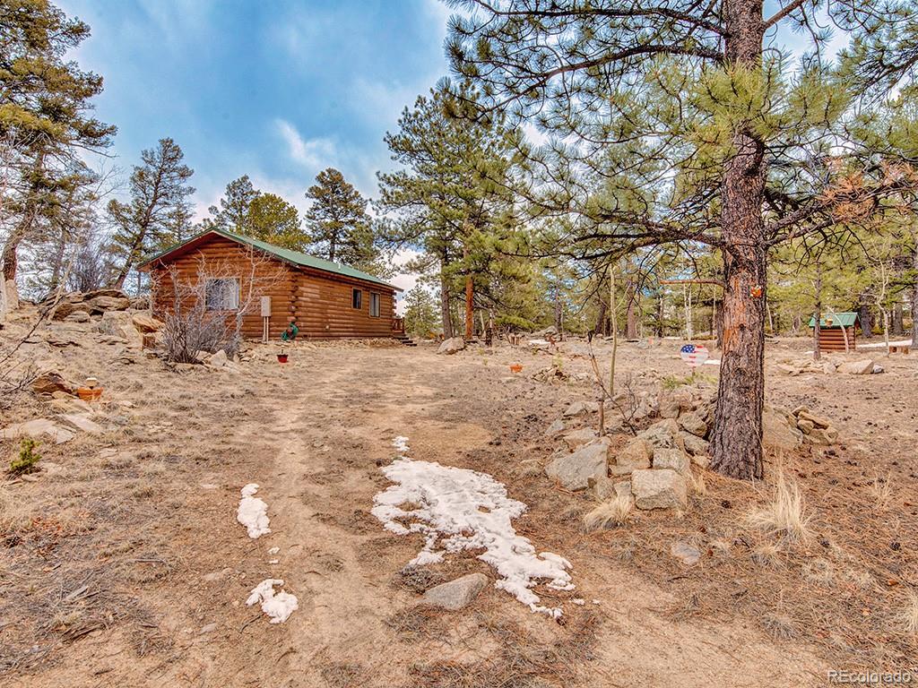 1462 Pulver Road Lake George CO 80827