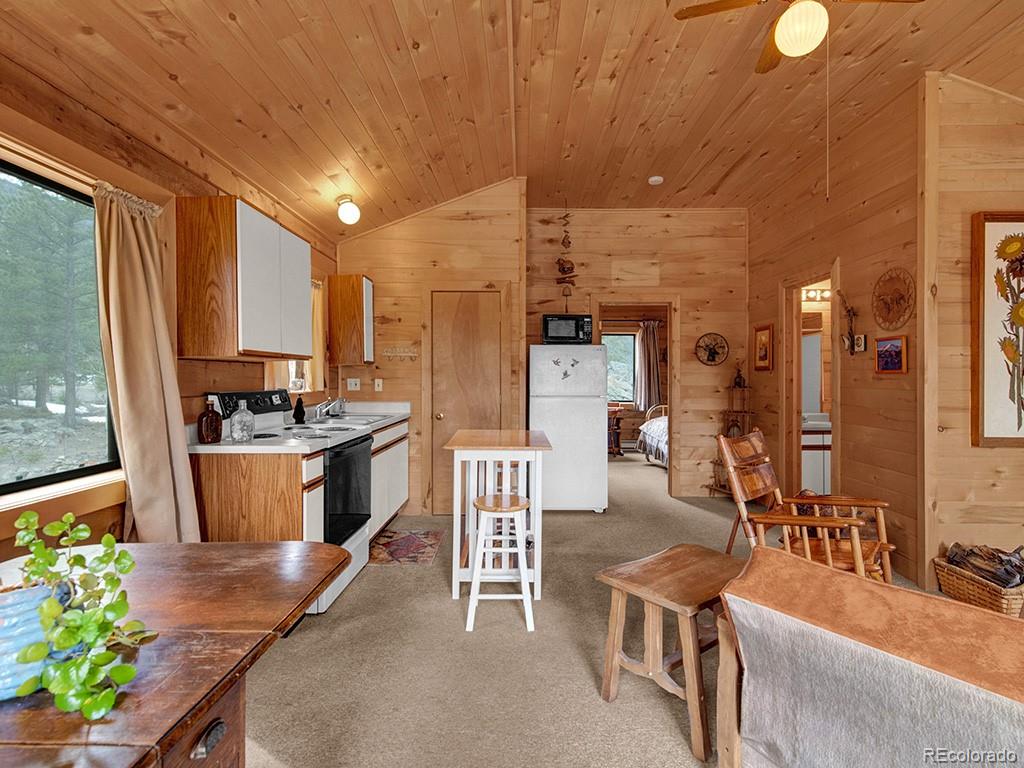 1462 Pulver Road Lake George CO 80827
