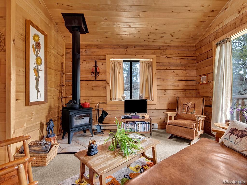 1462 Pulver Road Lake George CO 80827
