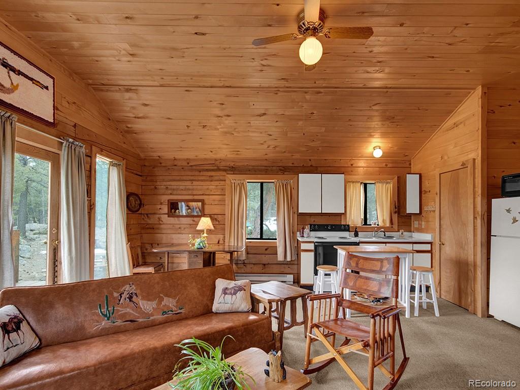 1462 Pulver Road Lake George CO 80827