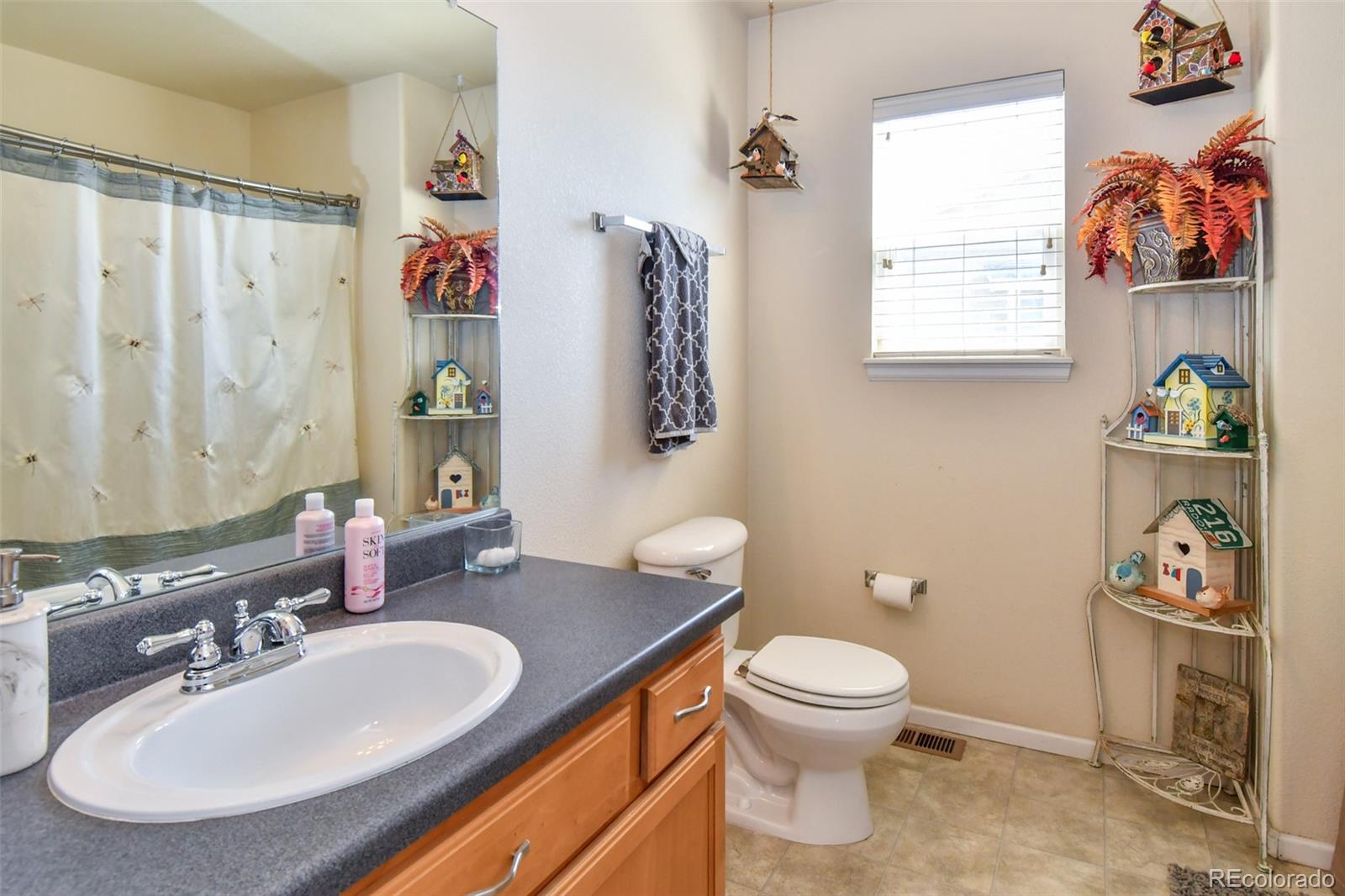 3978 Balderas Street Brighton CO 80601