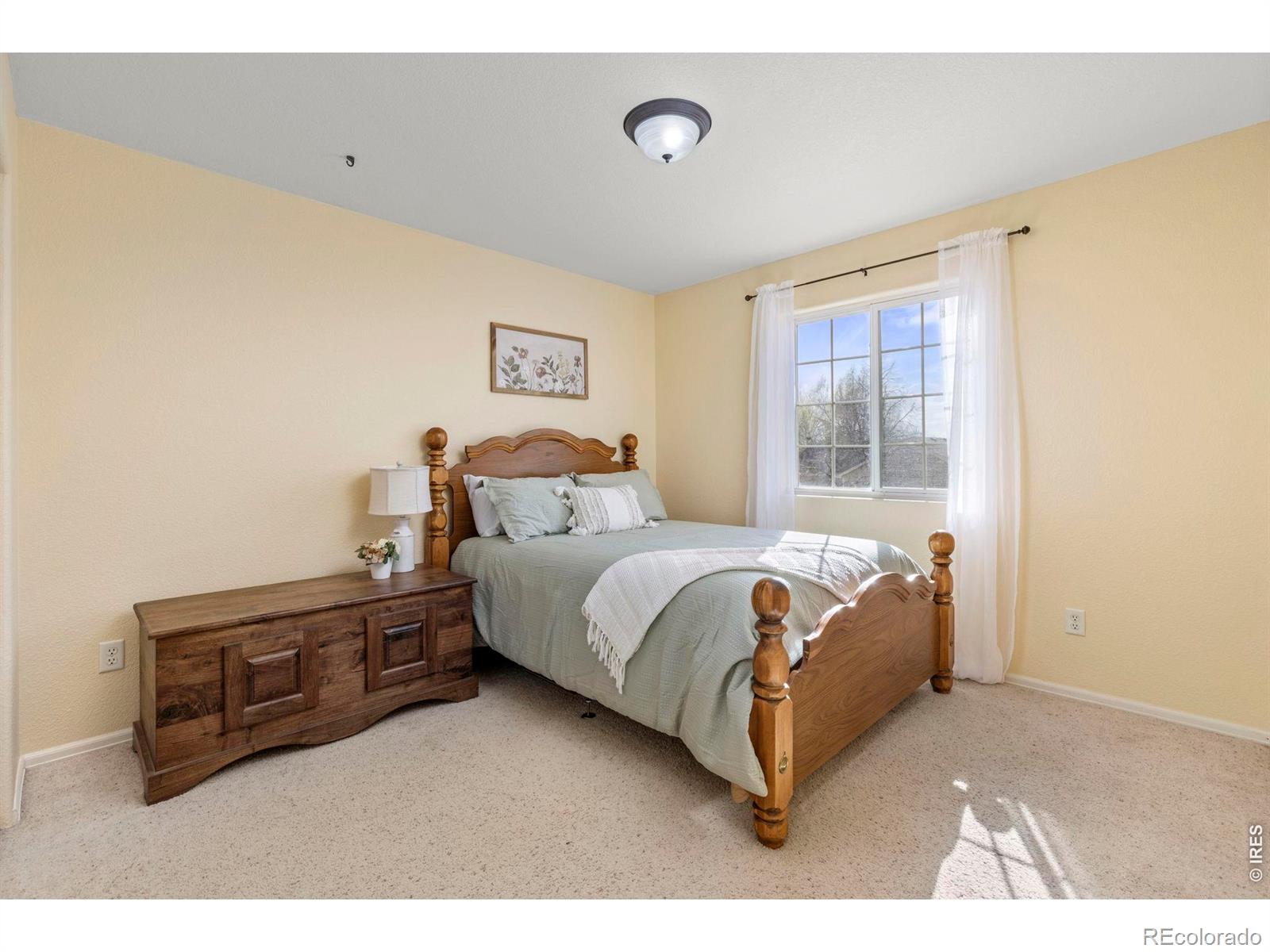 1296 S Frances Avenue Milliken CO 80543