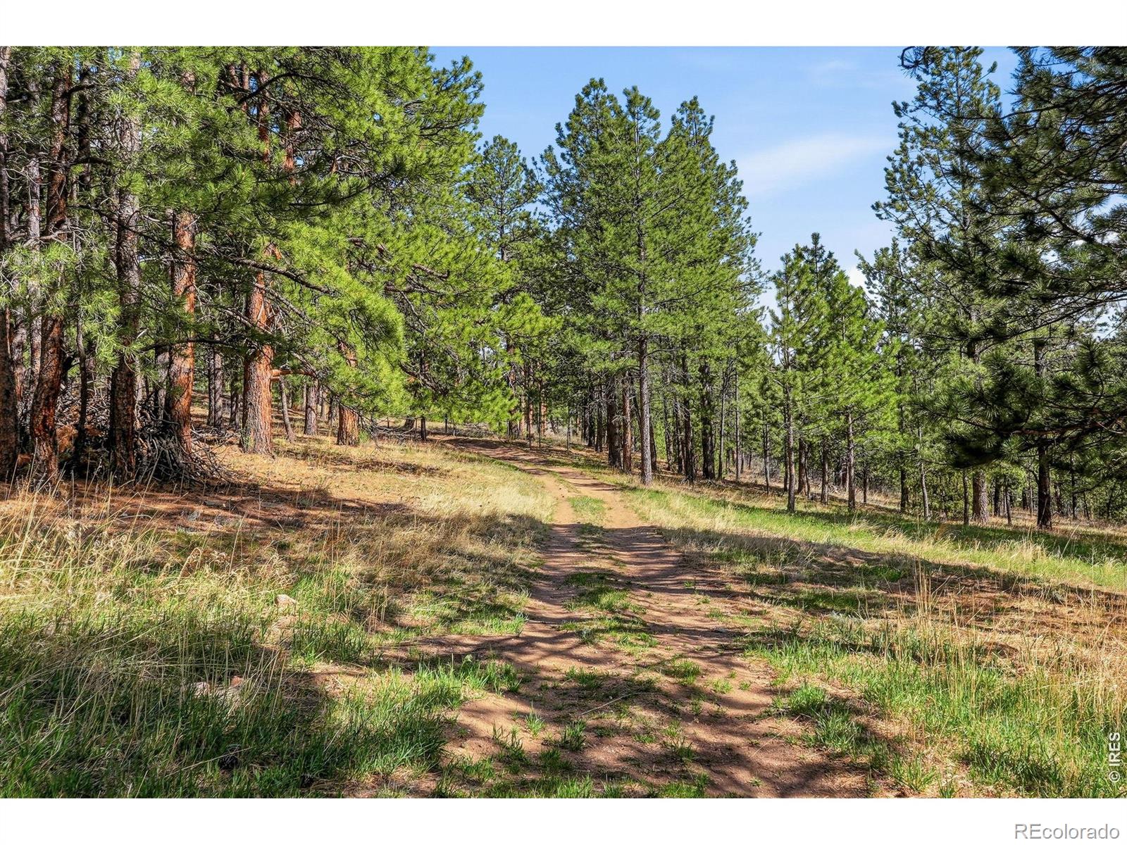 560 Quillan Gulch Road Loveland CO 80537
