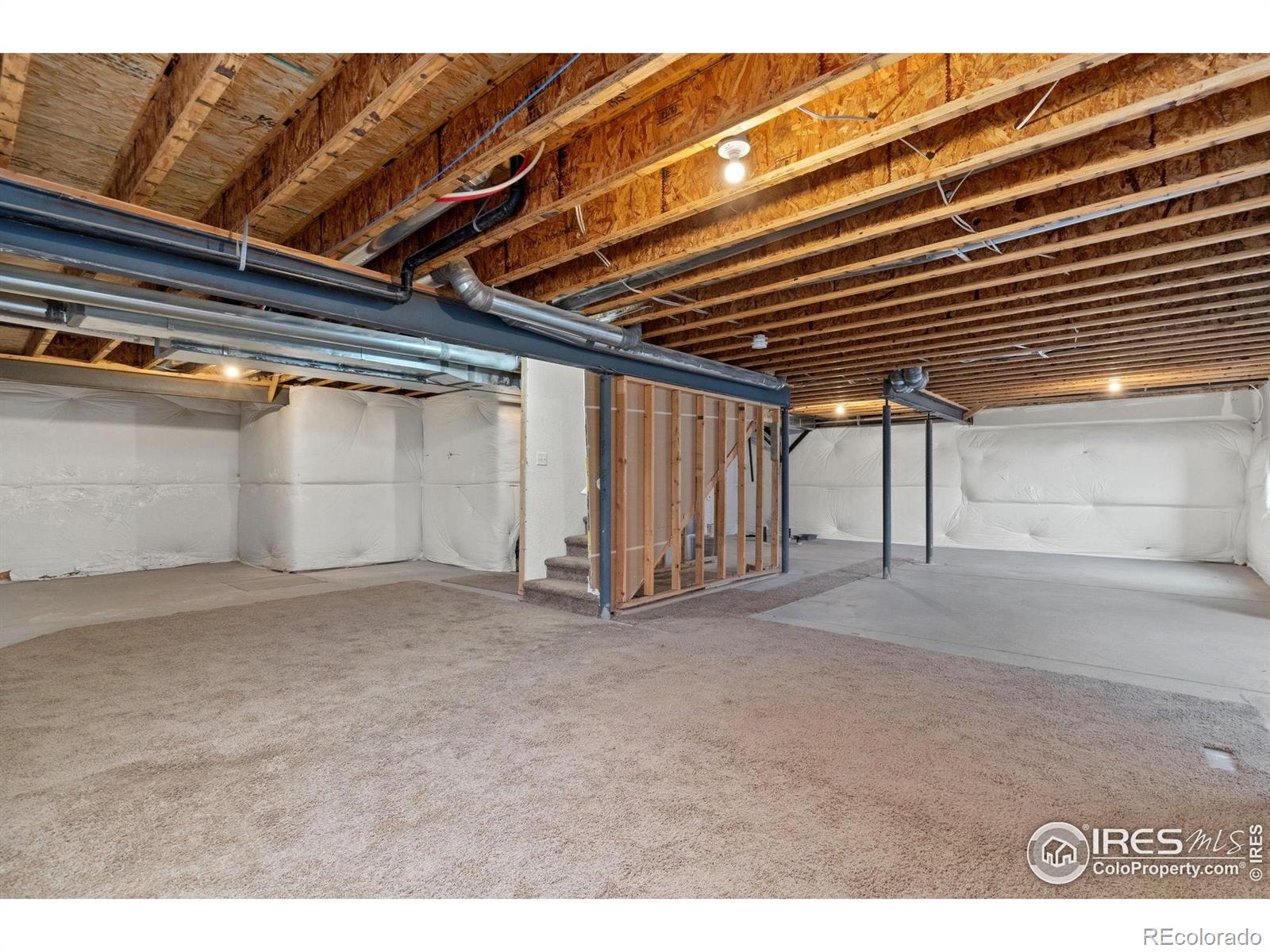 1057 Mt Oxford Avenue Severance CO 80550
