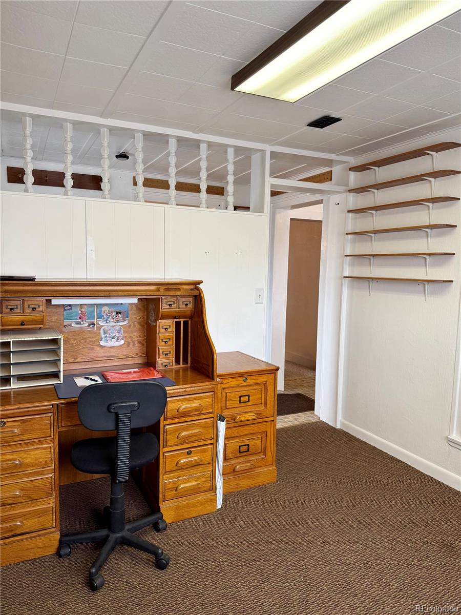 453 Mckinley Street Walden CO 80480