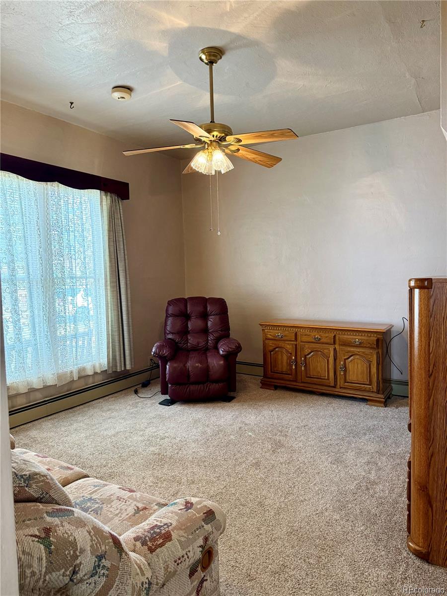 453 Mckinley Street Walden CO 80480