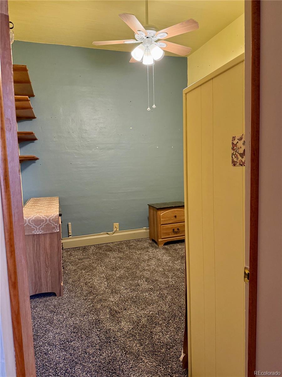 453 Mckinley Street Walden CO 80480