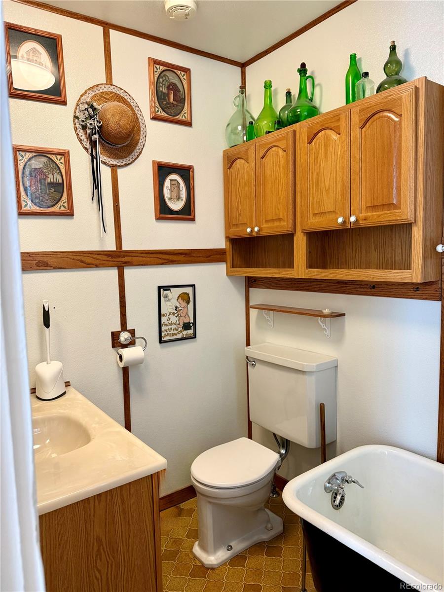 453 Mckinley Street Walden CO 80480