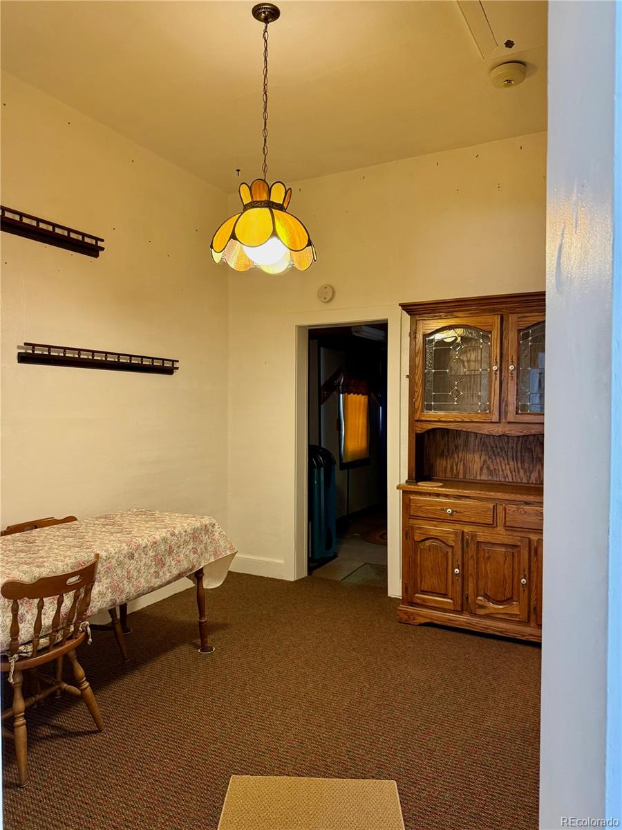 453 Mckinley Street Walden CO 80480