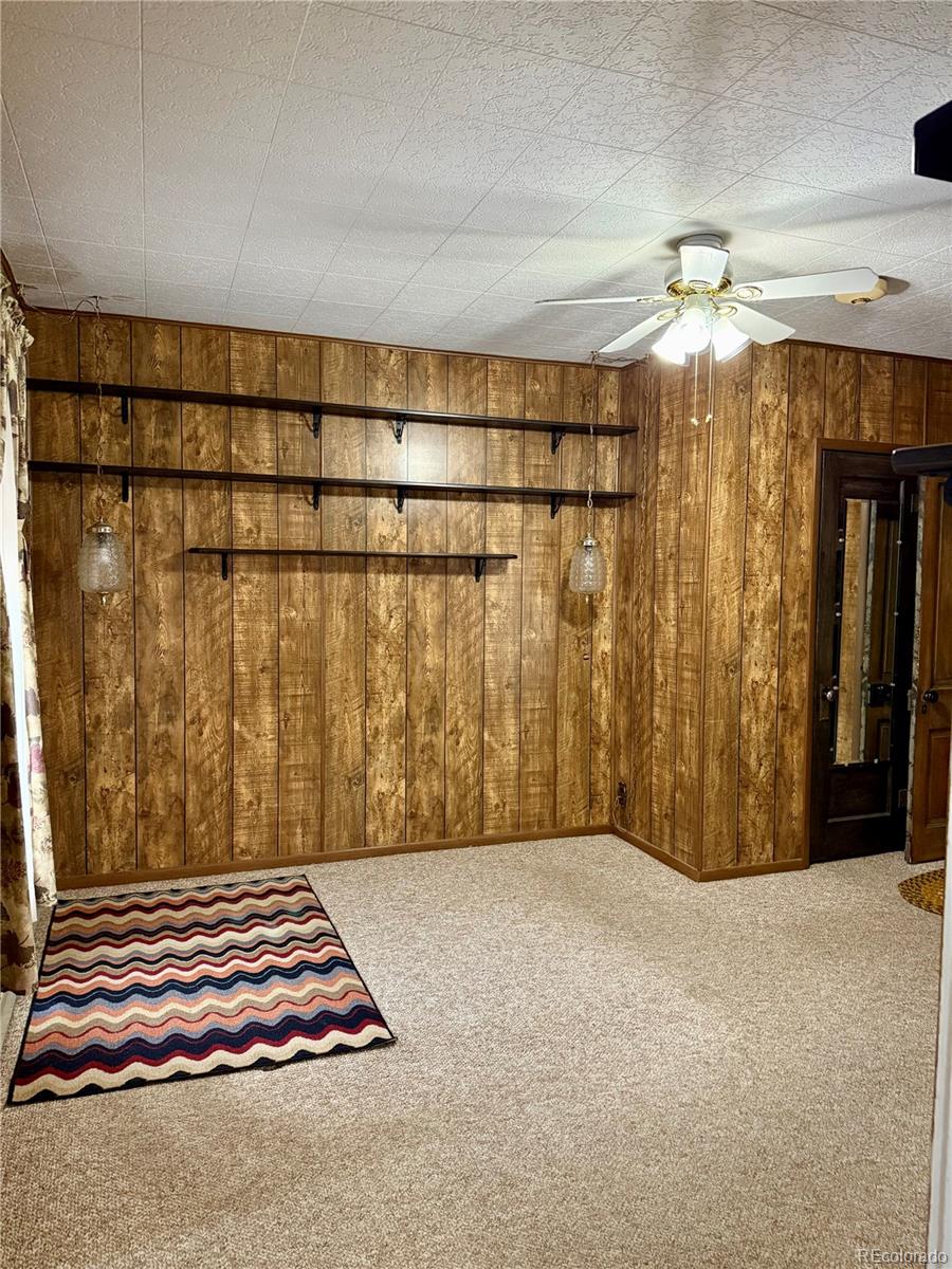 453 Mckinley Street Walden CO 80480