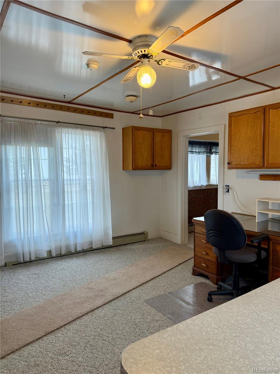 453 Mckinley Street Walden CO 80480