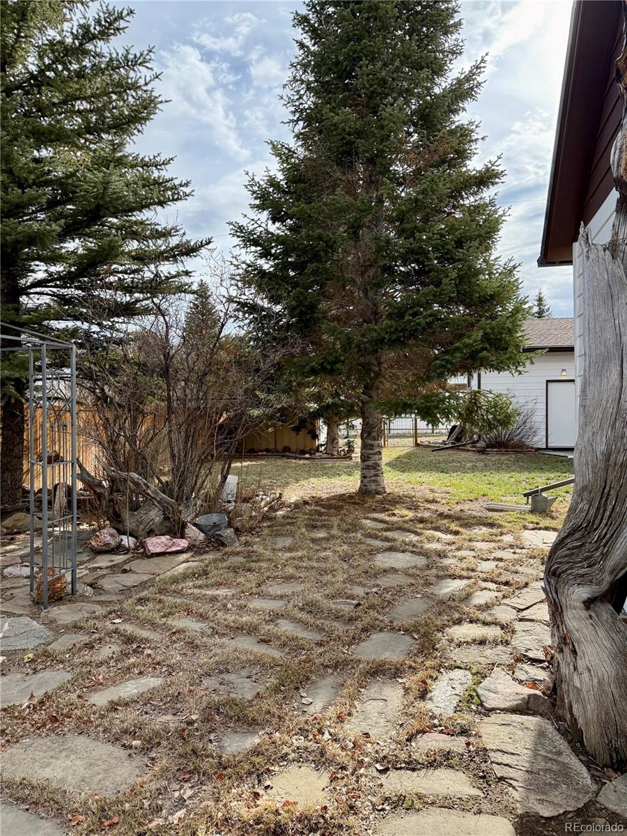 453 Mckinley Street Walden CO 80480