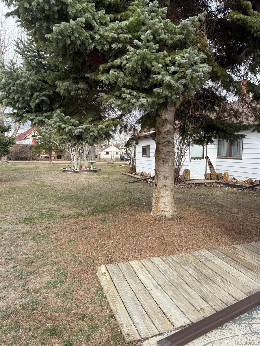 453 Mckinley Street Walden CO 80480