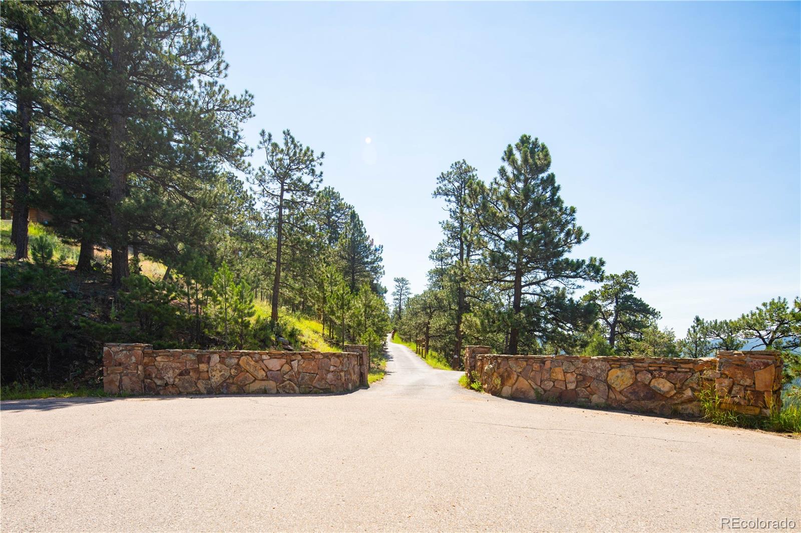28843 Wild Rose Drive Evergreen CO 80439