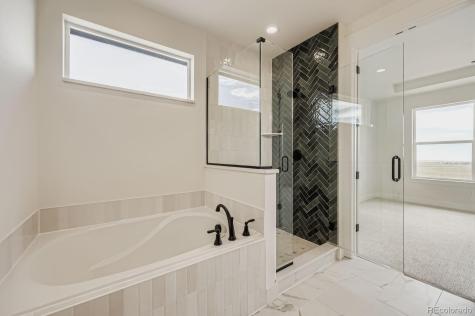 9675 Owl Perch Loop Colorado Springs CO 80908