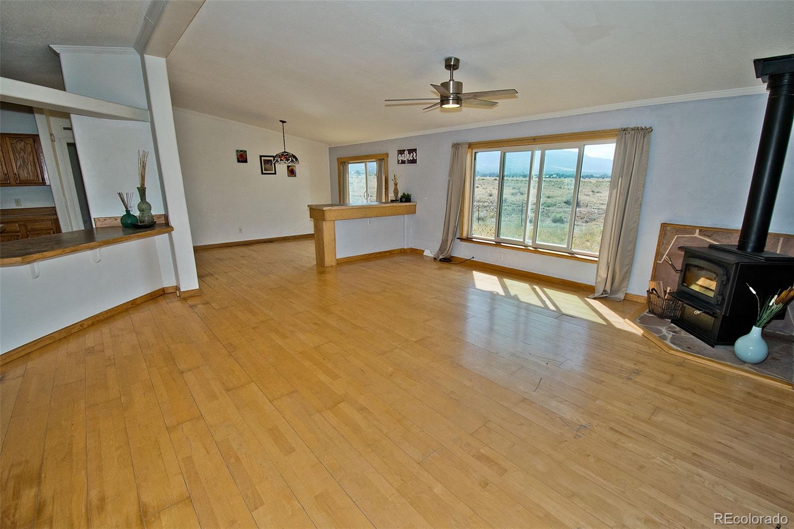 1372 N Saddlerock Trail Crestone CO 81131