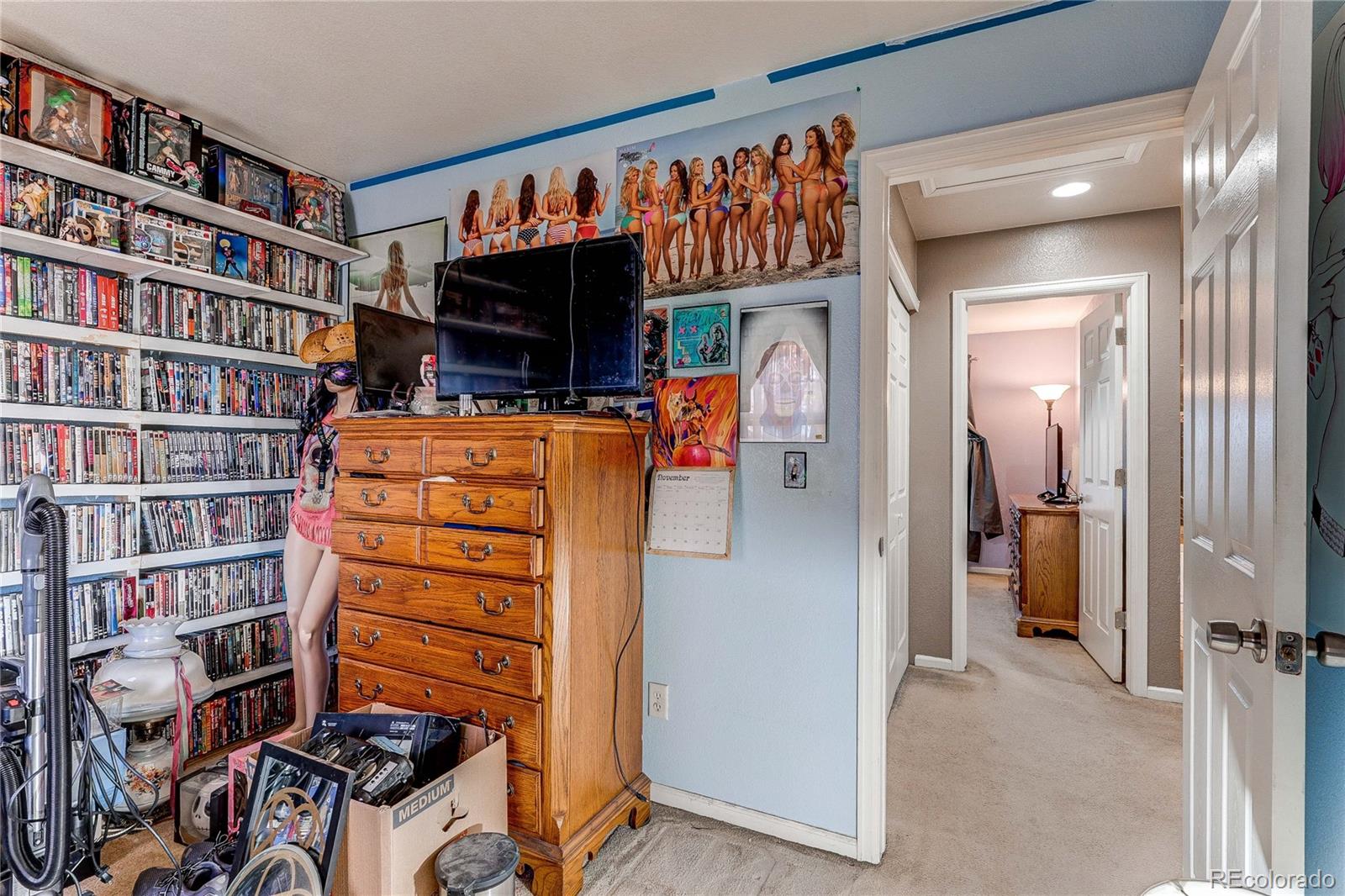 4884 E 101st Court Thornton CO 80229
