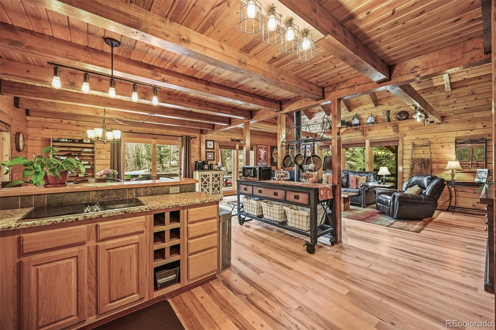 1673 Sinton Road Evergreen CO 80439