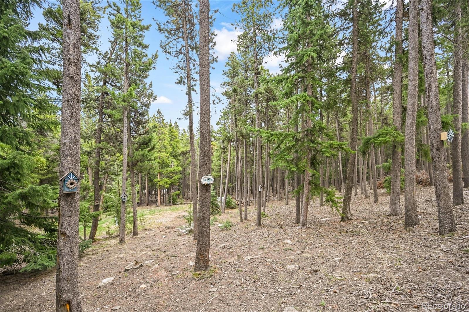1673 Sinton Road Evergreen CO 80439