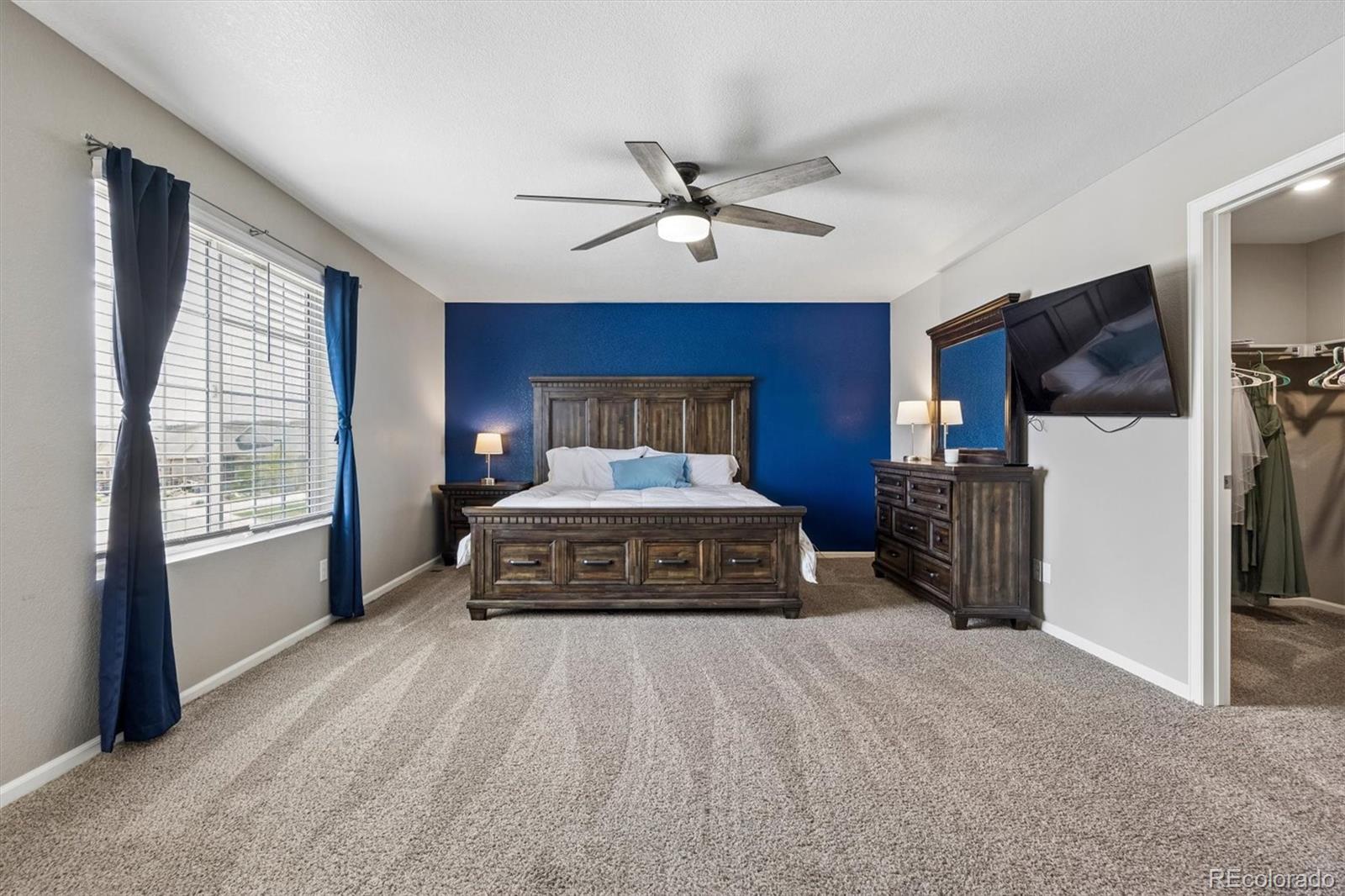 6031 Plains End Court Castle Rock CO 80104