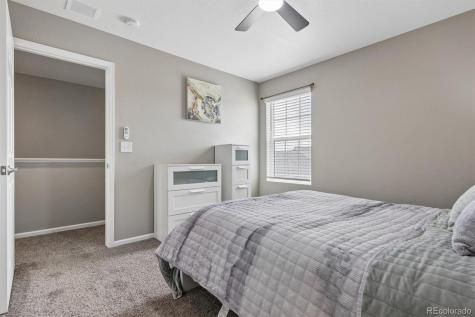 6031 Plains End Court Castle Rock CO 80104