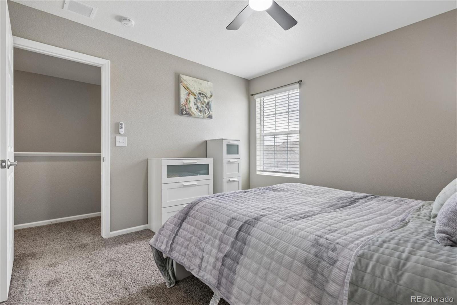 6031 Plains End Court Castle Rock CO 80104
