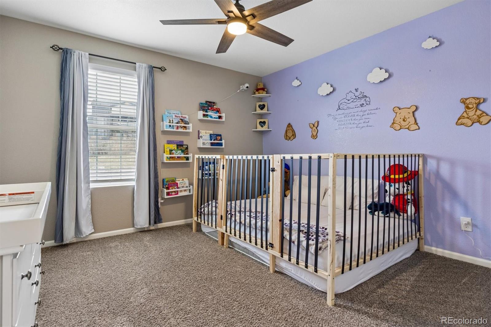 6031 Plains End Court Castle Rock CO 80104