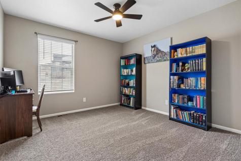 6031 Plains End Court Castle Rock CO 80104