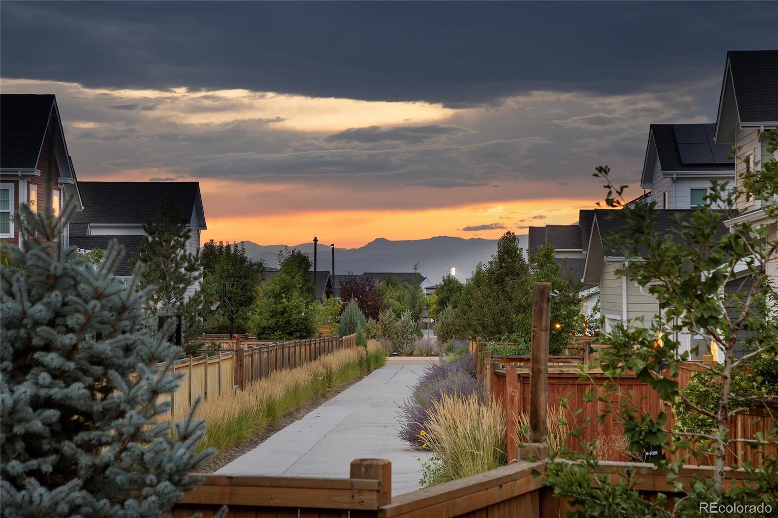 5971 Hanover Street Denver CO 80238