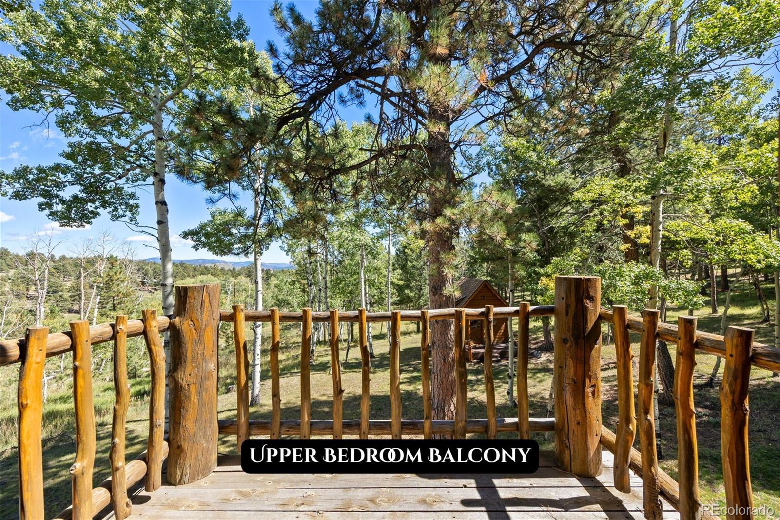 1889 Burland Drive Bailey CO 80421