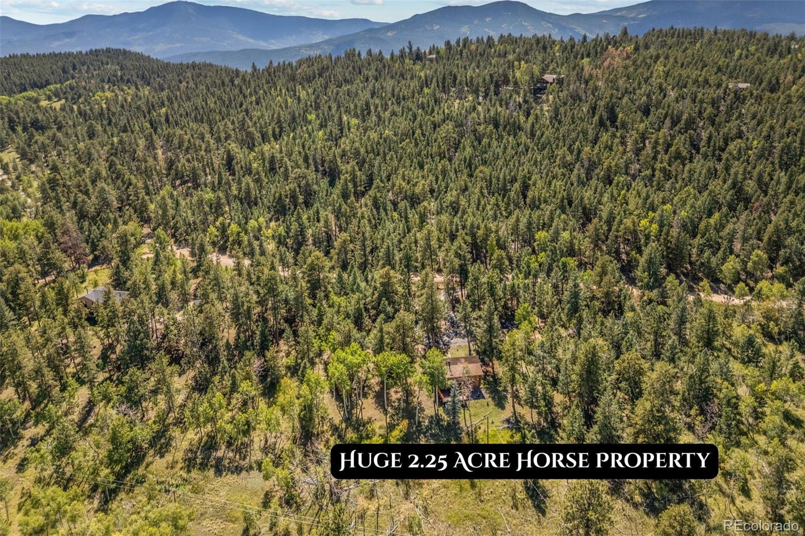 1889 Burland Drive Bailey CO 80421