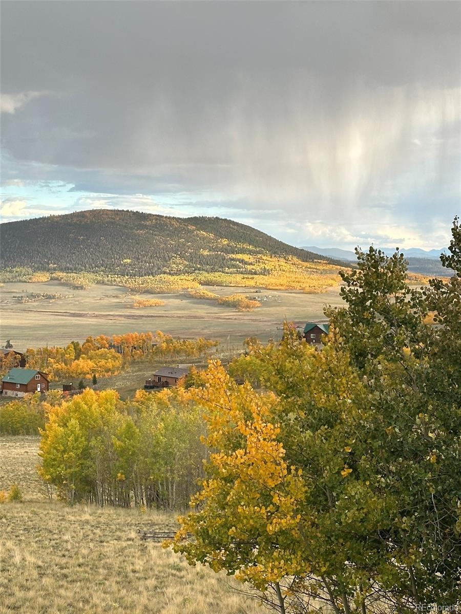 612 Sheep Ridge Road Fairplay CO 80440