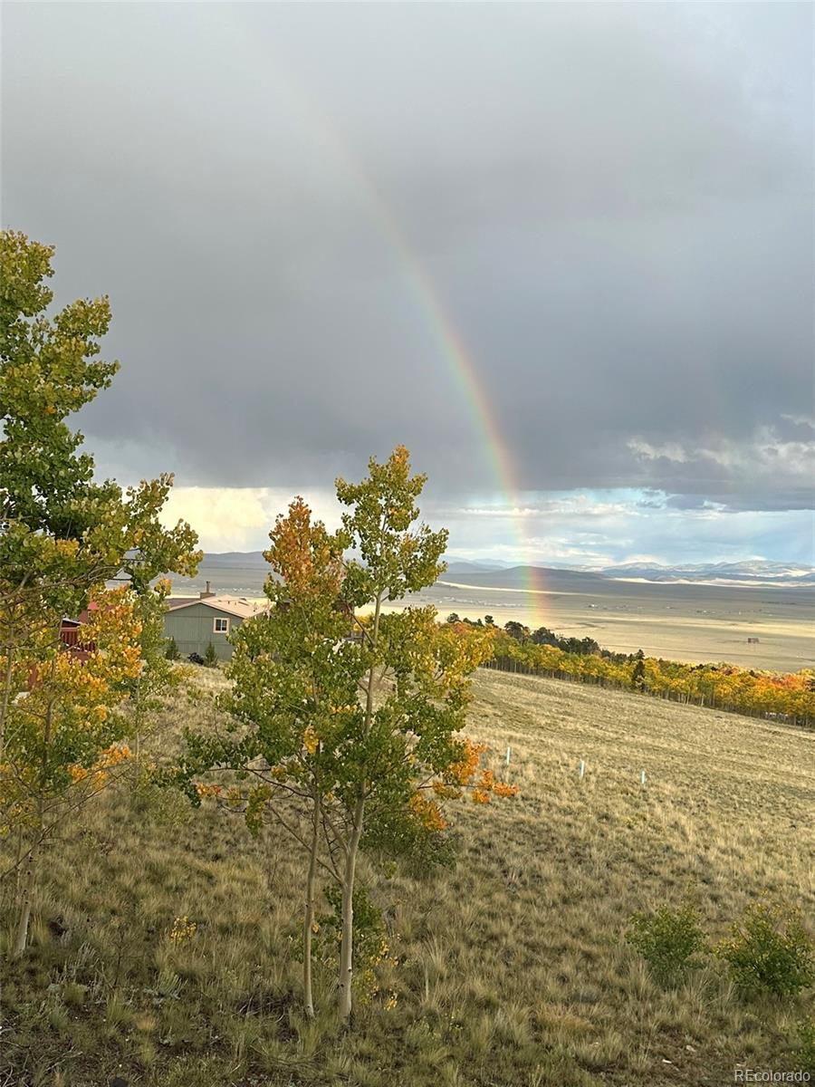 612 Sheep Ridge Road Fairplay CO 80440